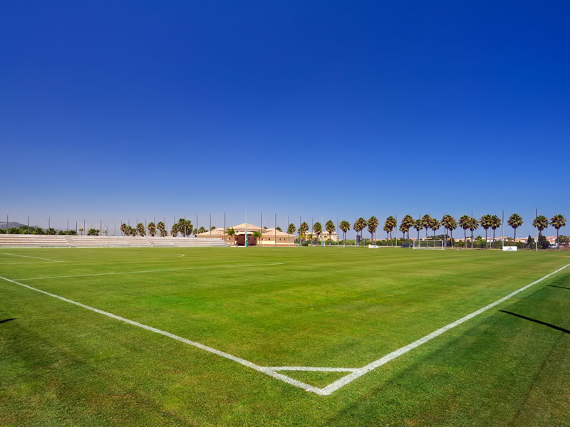 Organiza tu partido oficial o amistoso
