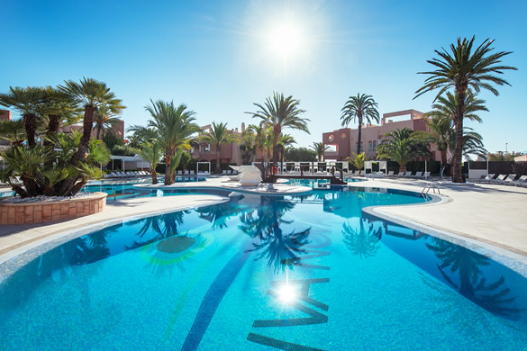 early booking olivanova